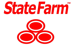 state farm logo generic