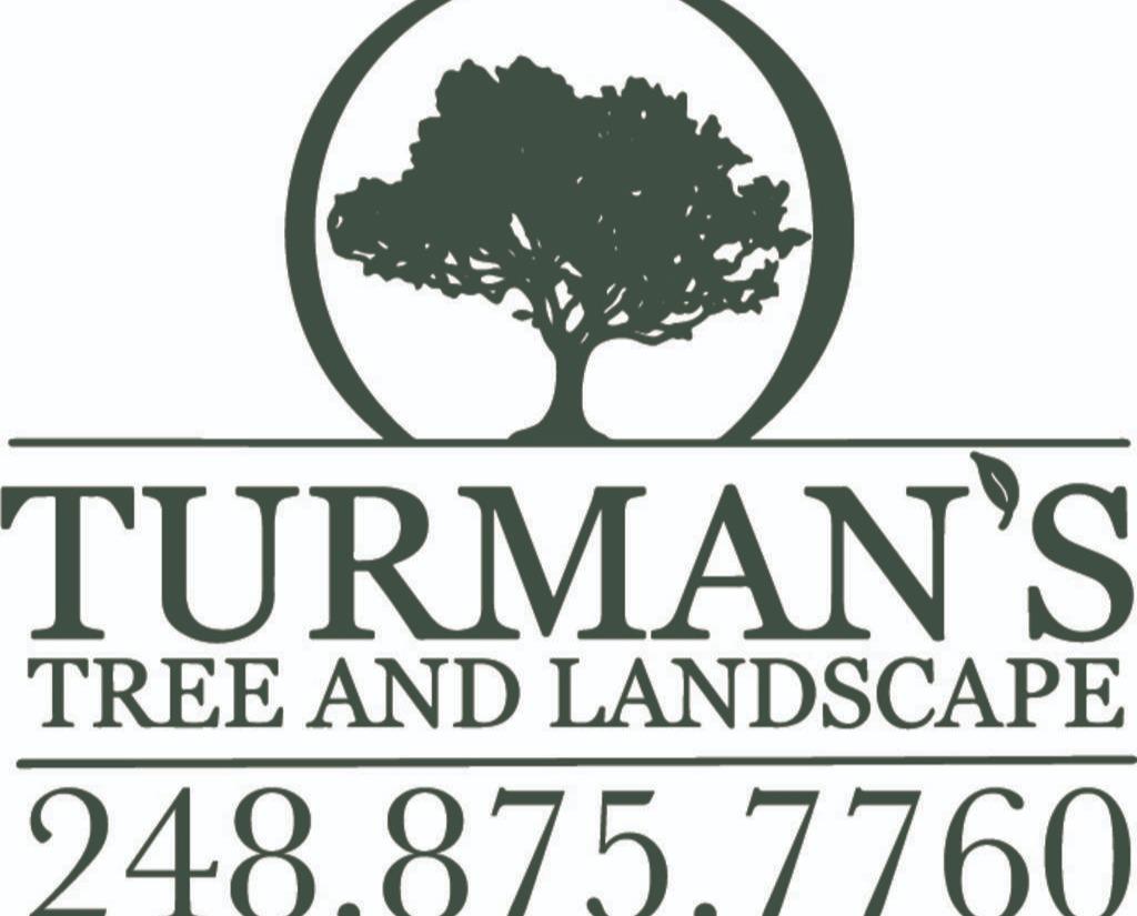 Turman’s Tree and Landscape